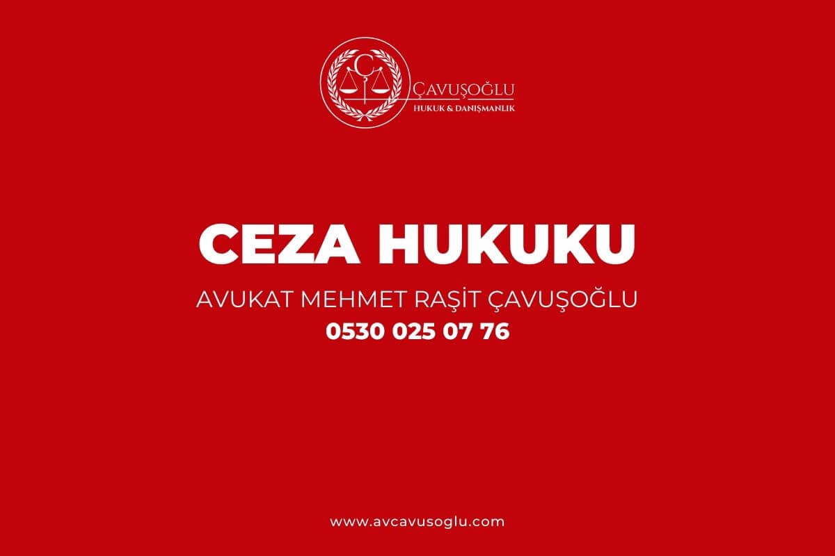 Ceza Hukuku Erzurum Ceza Avukati